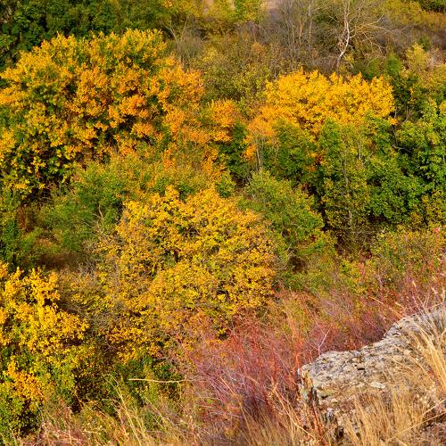 Photo #5082106