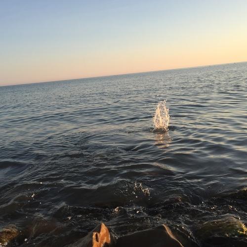 Photo #5082136