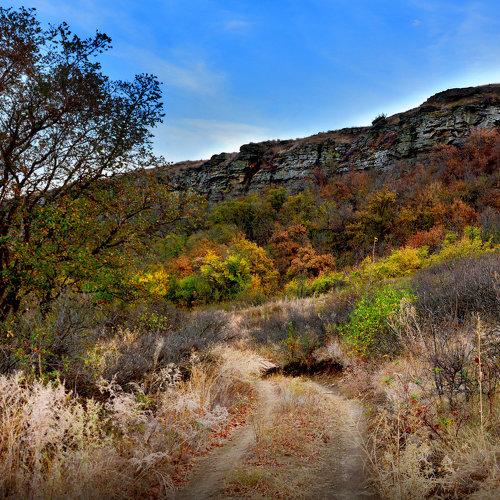 Photo #5082261