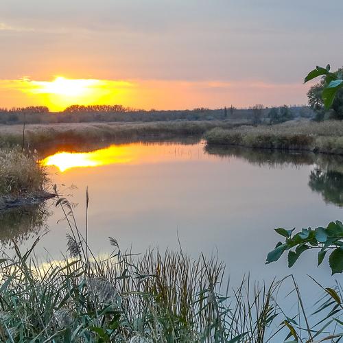 Photo #5082382