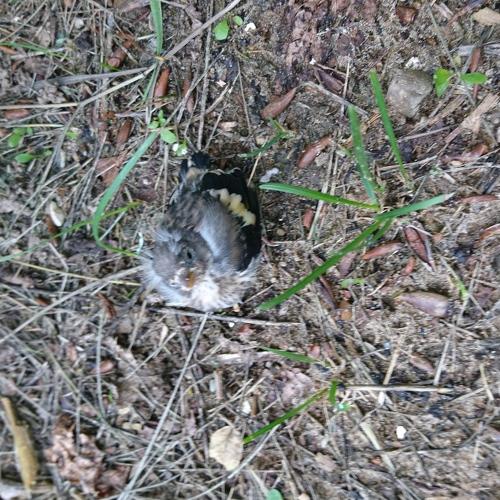 Photo #5082409