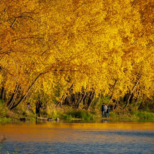 Photo #5082786