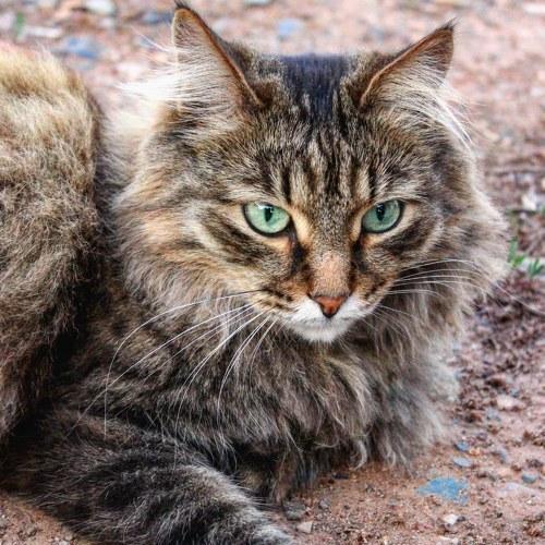 Photo #5082847
