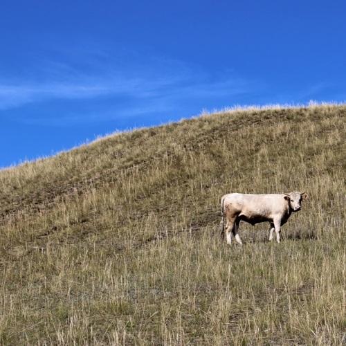 Photo #5083101