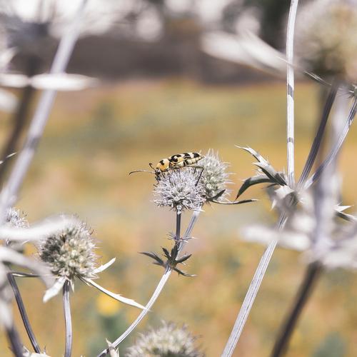 Photo #5083842