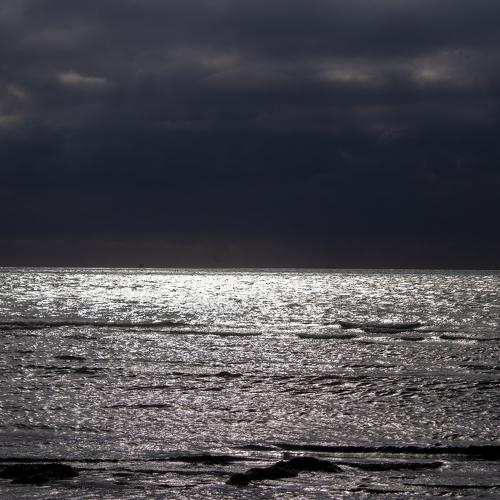 Photo #5083994