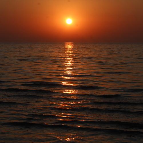 Photo #5083998