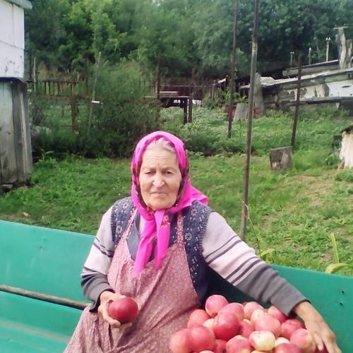 Яблоки