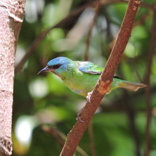 Photo #5084050