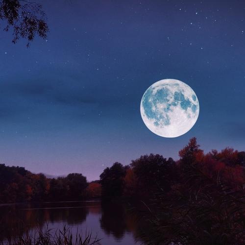 Photo #5084127