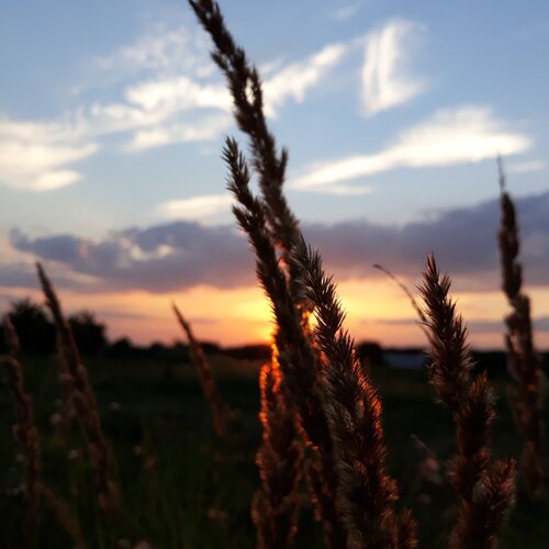 Photo #5084248