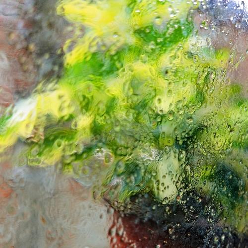 Canvas of Rain
