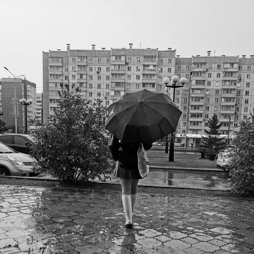 я. Дождь. Зонт
