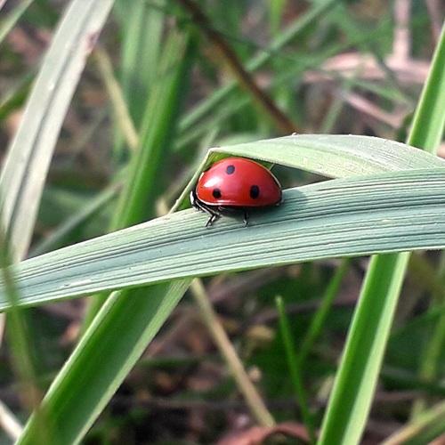 Photo #5086243