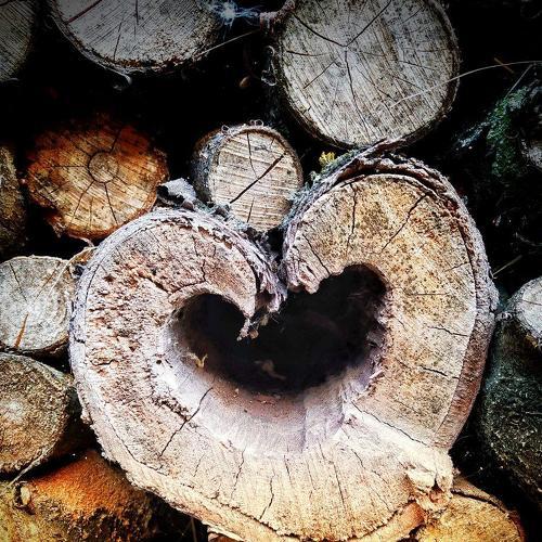Photo #5086519
