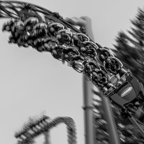 Photo #5086946