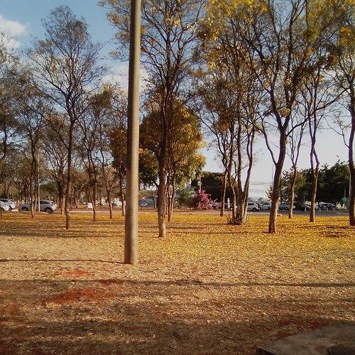 Photo #5087084
