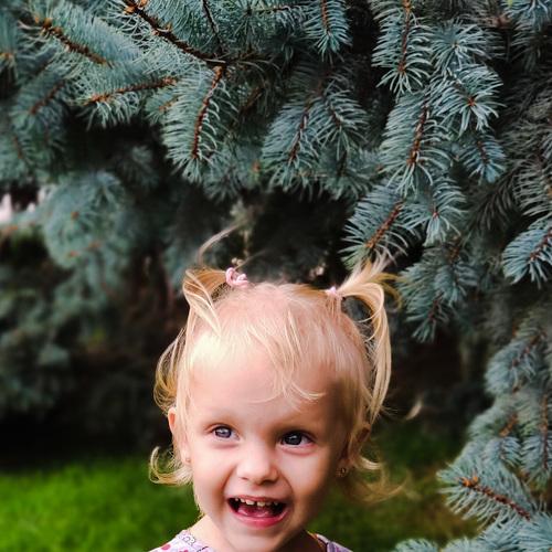 Photo #5087138