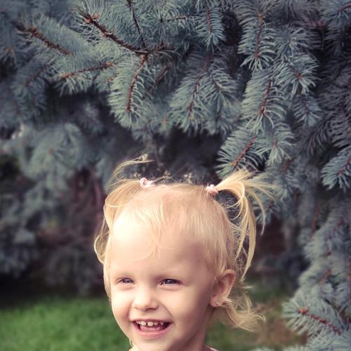 Photo #5087141