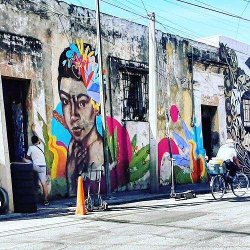 Photo #5087466