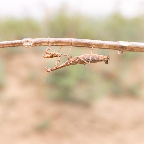 Photo #5087649