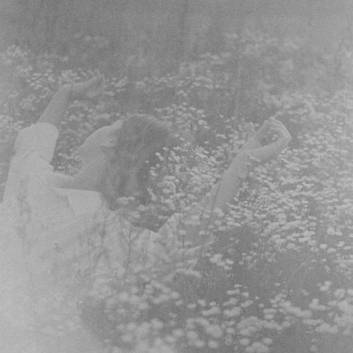 Photo #5088290