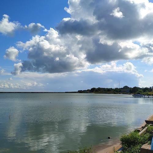 Photo #5088376