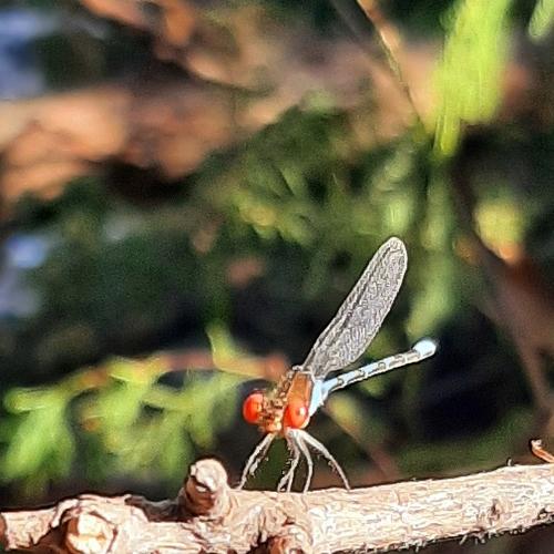 Photo #5088547