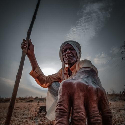 Photo #5088660