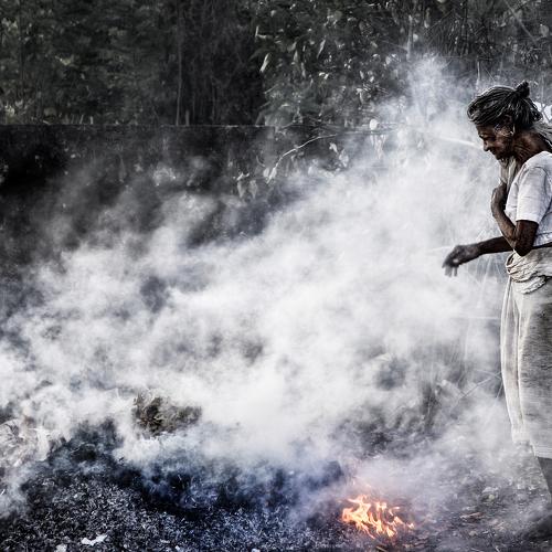Photo #5088850
