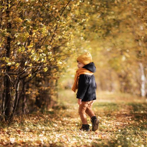 Photo #5089029