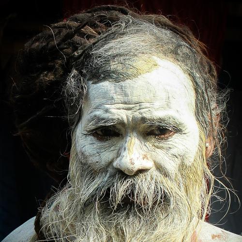 Photo #5089159