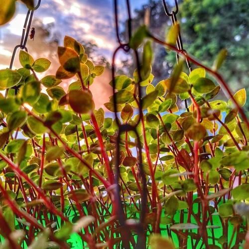 Photo #5089183