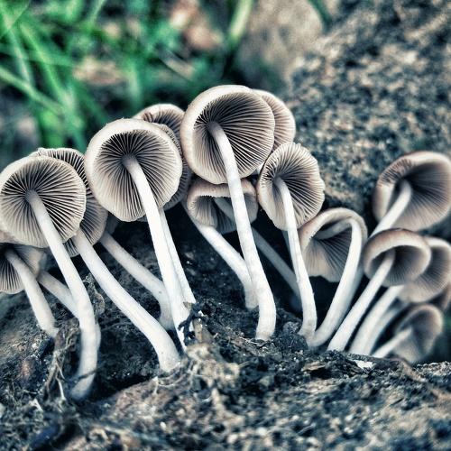 Photo #5089236