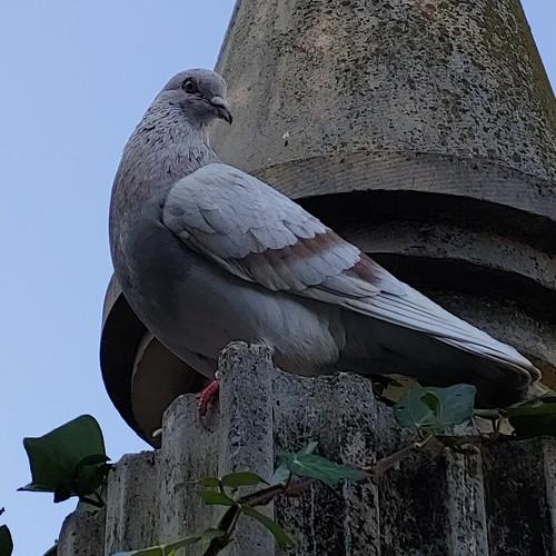 Photo #5089335