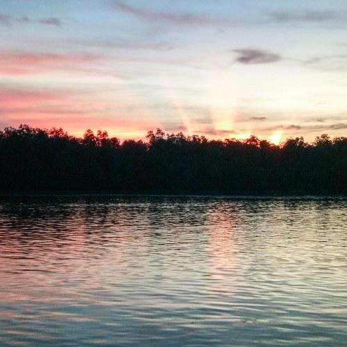 Photo #5089457