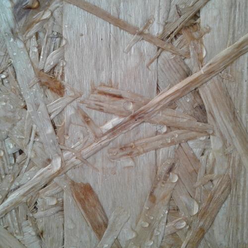 Photo #5089544