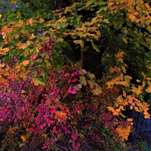 Photo #5089710