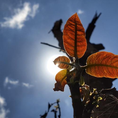 Photo #5089894