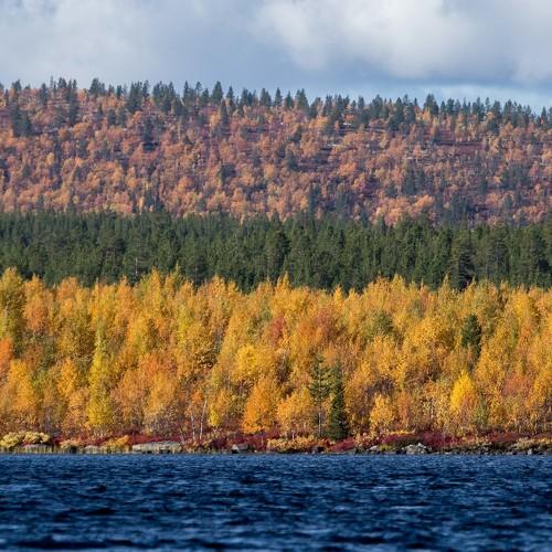 Флаг осени