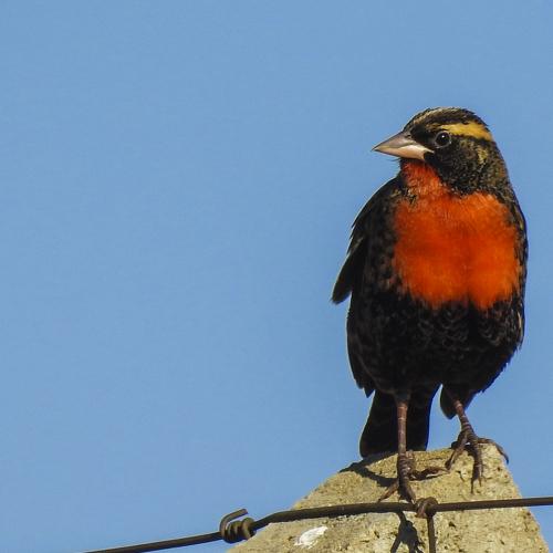 Photo #5090183