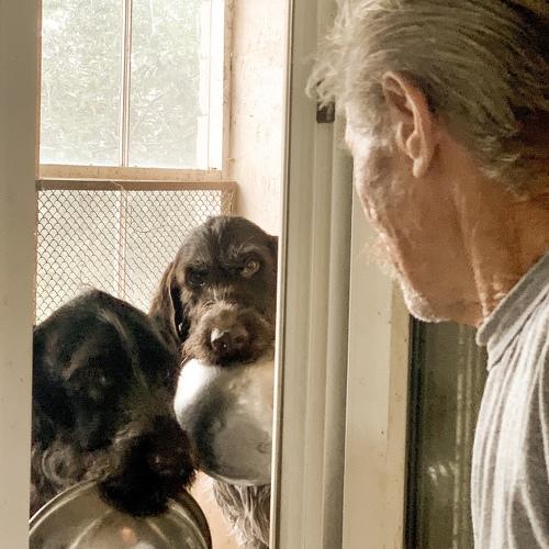 Photo #5090195