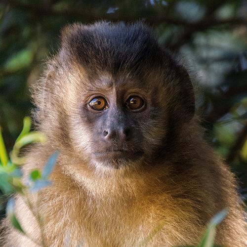 Photo #5090240