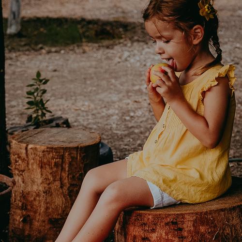 Photo #5090369
