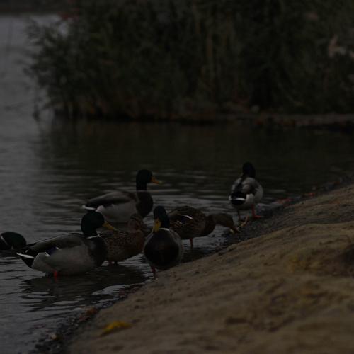 Photo #5090568
