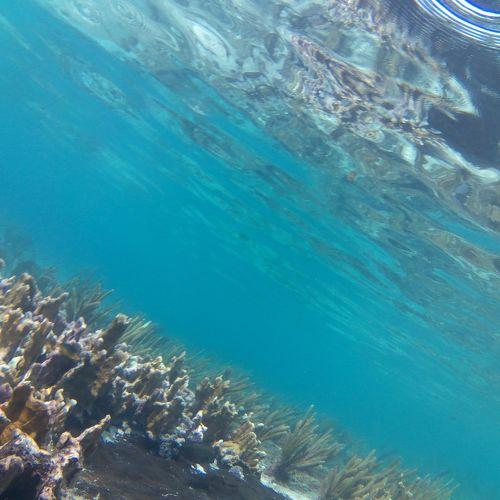 Photo #5090668