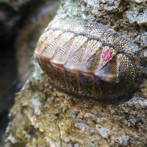 Photo #5090693