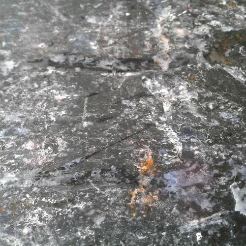 Photo #5090697