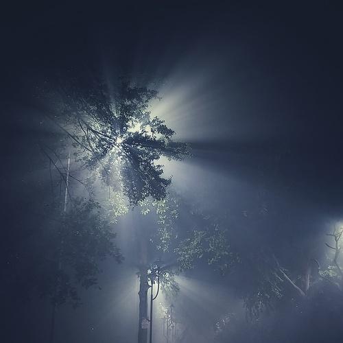 Photo #5090756