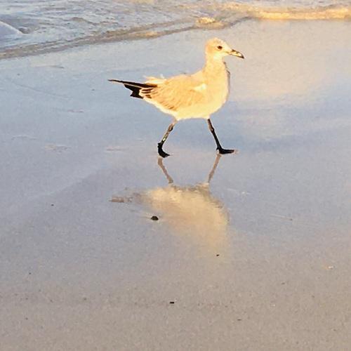 Photo #5090860